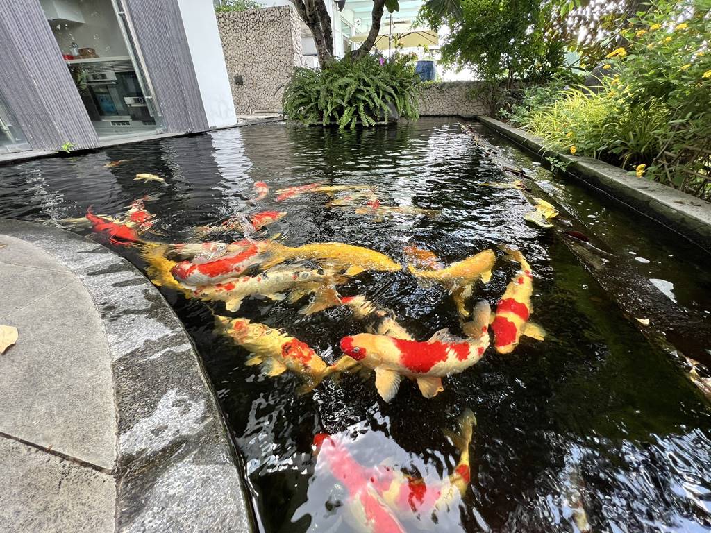 Unique garden villa for rent in Q Ciputra 3